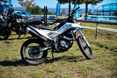 skljockanje-9