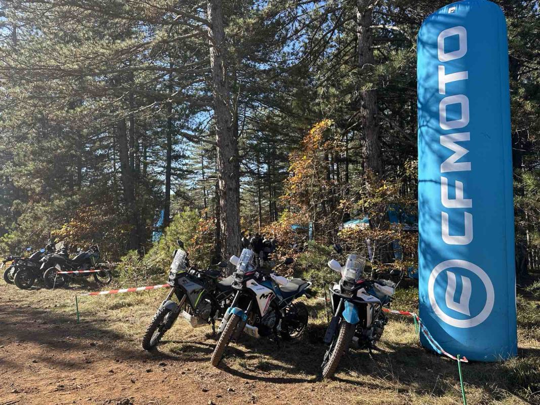 mt sector kamp tara