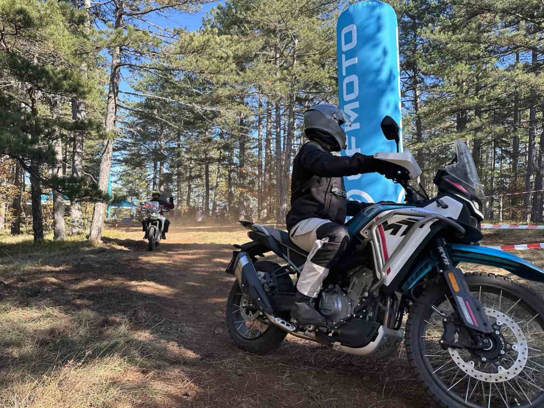 mt sector kamp tara